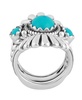 Genuine Sleeping Beauty Turquoise Sterling Silver Crown Ring, Sizes 5-10