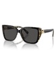 Michael Kors Eyewear Butterfly Frame Sunglasses