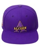 Men's Purple Alcorn State Braves Evergreen Primary Logo Snapback Hat