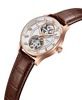 Men's Automatic Brown Stainless Steel 43.5mm