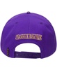 Men's Purple Alcorn State Braves Evergreen Primary Logo Snapback Hat