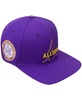 Men's Purple Alcorn State Braves Evergreen Primary Logo Snapback Hat