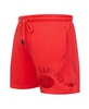 Men's San Francisco 49ers Triple Red Shorts