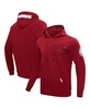 Men's Cardinal Arkansas Razorbacks Classic Pullover Hoodie