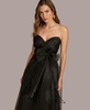 Donna Karan Women's Sweetheart Neck Strapless Chiffon Dress