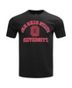 Men's Black Distressed Ohio State Buckeyes Classic Stacked Logo T-shirt