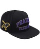 Men's Black Prairie View A&M Panthers Arch Over Logo Evergreen Snapback Hat