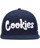 Men's Navy Original Mint Snapback Hat