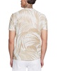 Men's Baja Palm Gauze Graphic T-Shirt