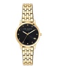 Ted Baker Fitzrovia Constellation Ladies Yellow Gold Stainless Steel Bracelet Watch (Model: BKPFZS4059I)