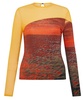 Long Sleeve Seamed Top in Orange/Painted Sunset.