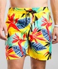 Bird Rock Volley Swim Trunks