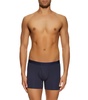 Jack Pima Cotton Trunks