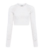 Lace-Knit Crop Top