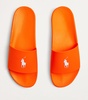 Polo Pony Slides