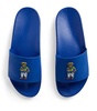 Polo Bear Slides