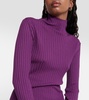 Ribbed-knit wool sweater