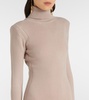 Cashmere turtleneck gown