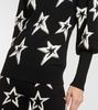 Star Dust wool turtleneck sweater