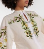 Embroidered cotton blouse