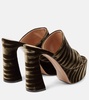 Holly zebra-print platform mules