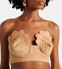 Coquillage strapless cotton crop top