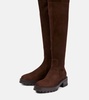 Whitney suede knee-high boots