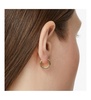 Huggie Hoop Earrings - Asher