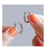 Silver Hoop Earrings - Rox Small Silver