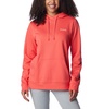 Columbia Women's Trek Graphic Hoodie