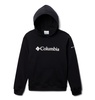 Columbia Kids' Trek Hoodie