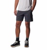 Columbia Men's Painted Peak Short