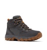 Columbia Men's Newton Ridge Plus II Suede Waterproof Hiking Boot