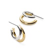 Double Hoop Earrings - Scarlett Two Tone