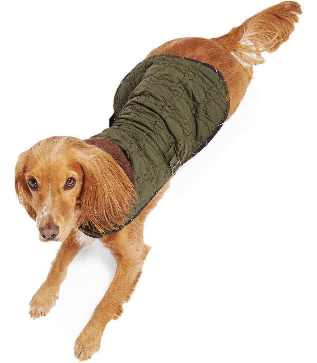 Barbour Dog Bone Olive Green Coat