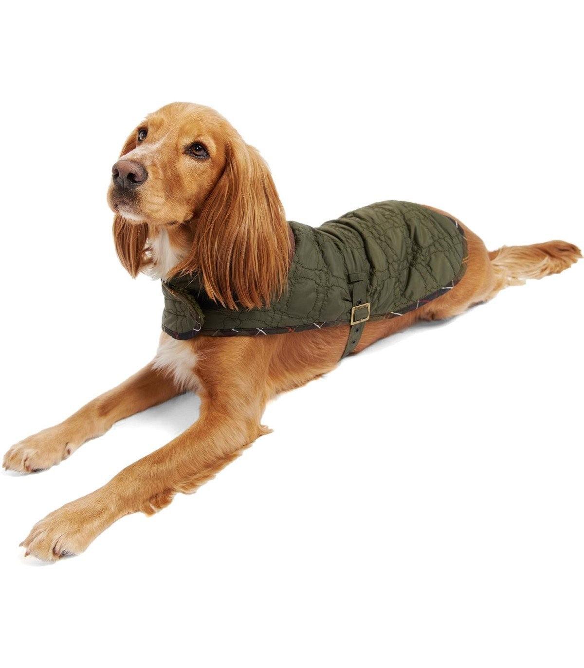 Barbour Dog Bone Olive Green Coat