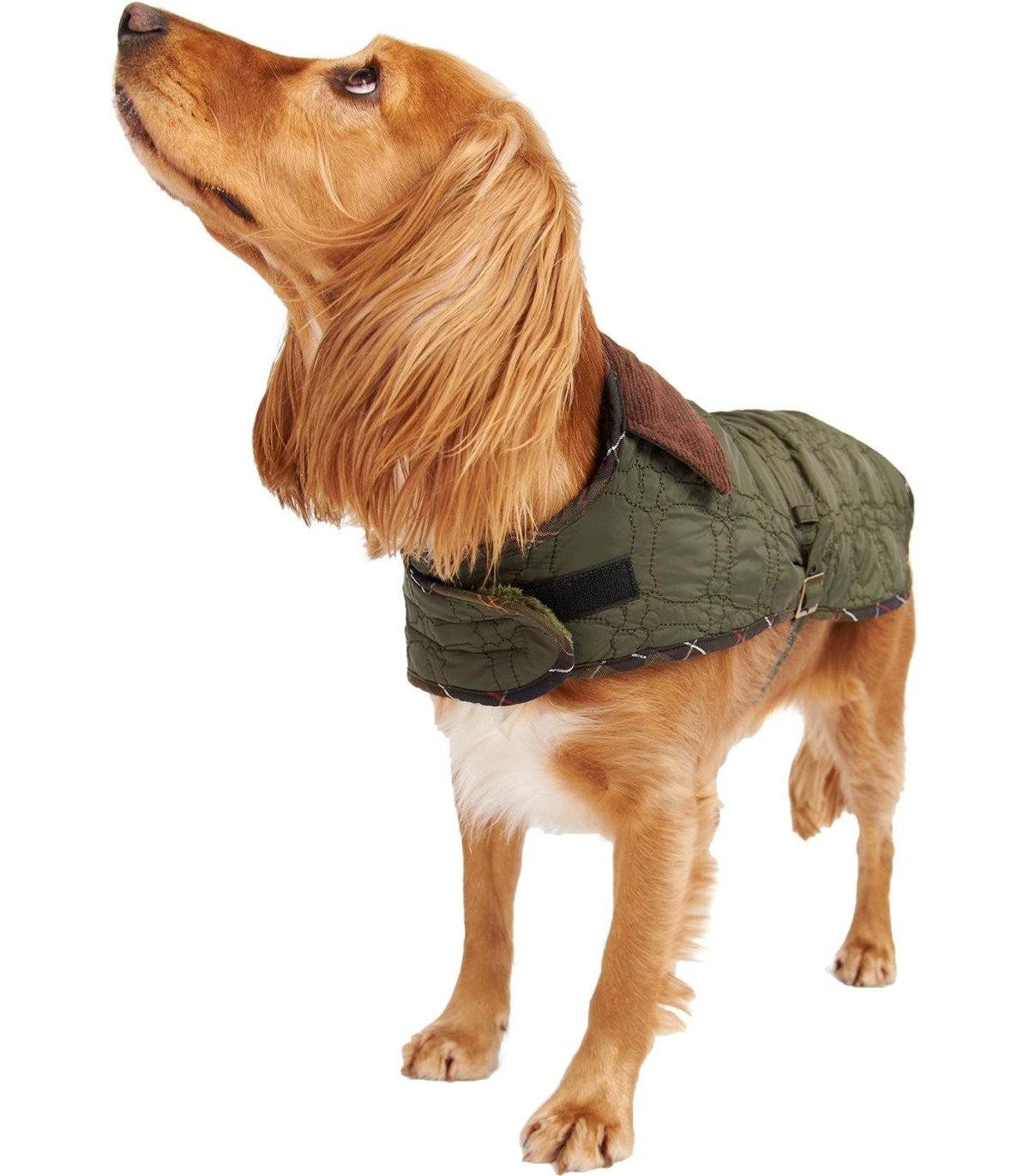 Barbour Dog Bone Olive Green Coat