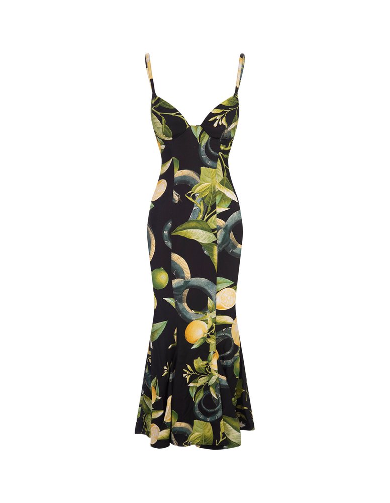 Roberto Cavalli Lemon Printed Flared Sleeveless Dress