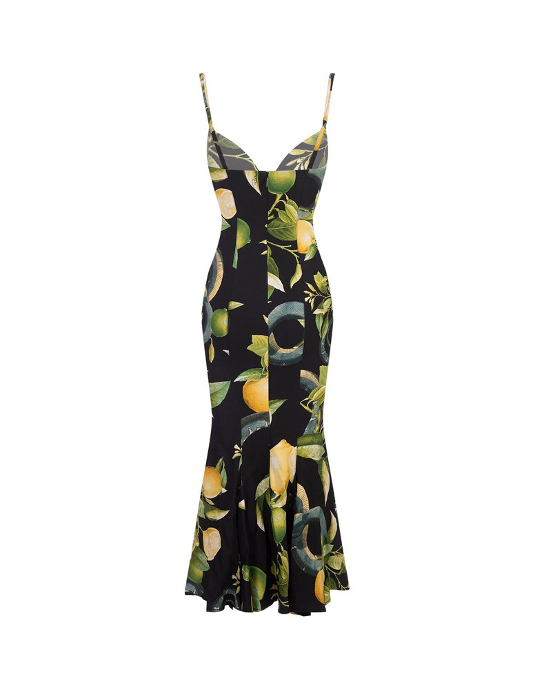 Roberto Cavalli Lemon Printed Flared Sleeveless Dress