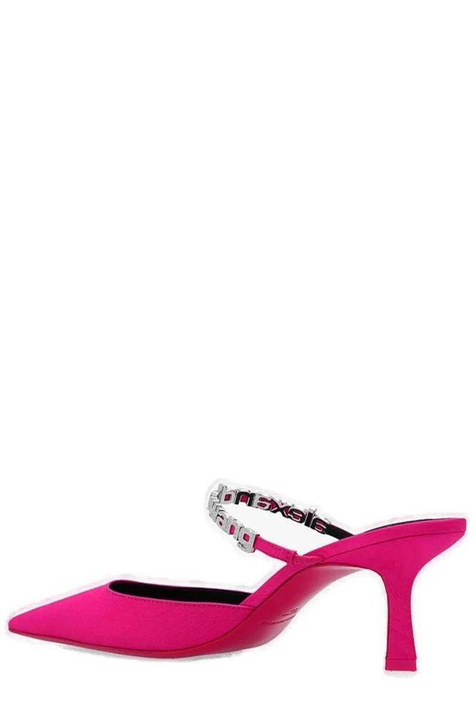 Alexander Wang Delphine Embellished Pumps