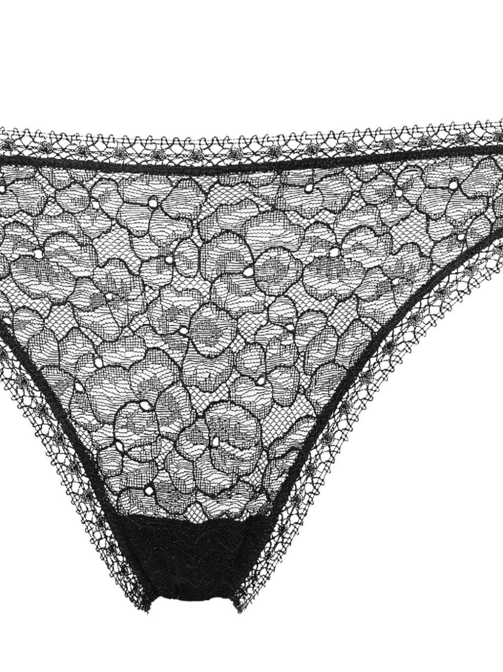 lace-panel briefs