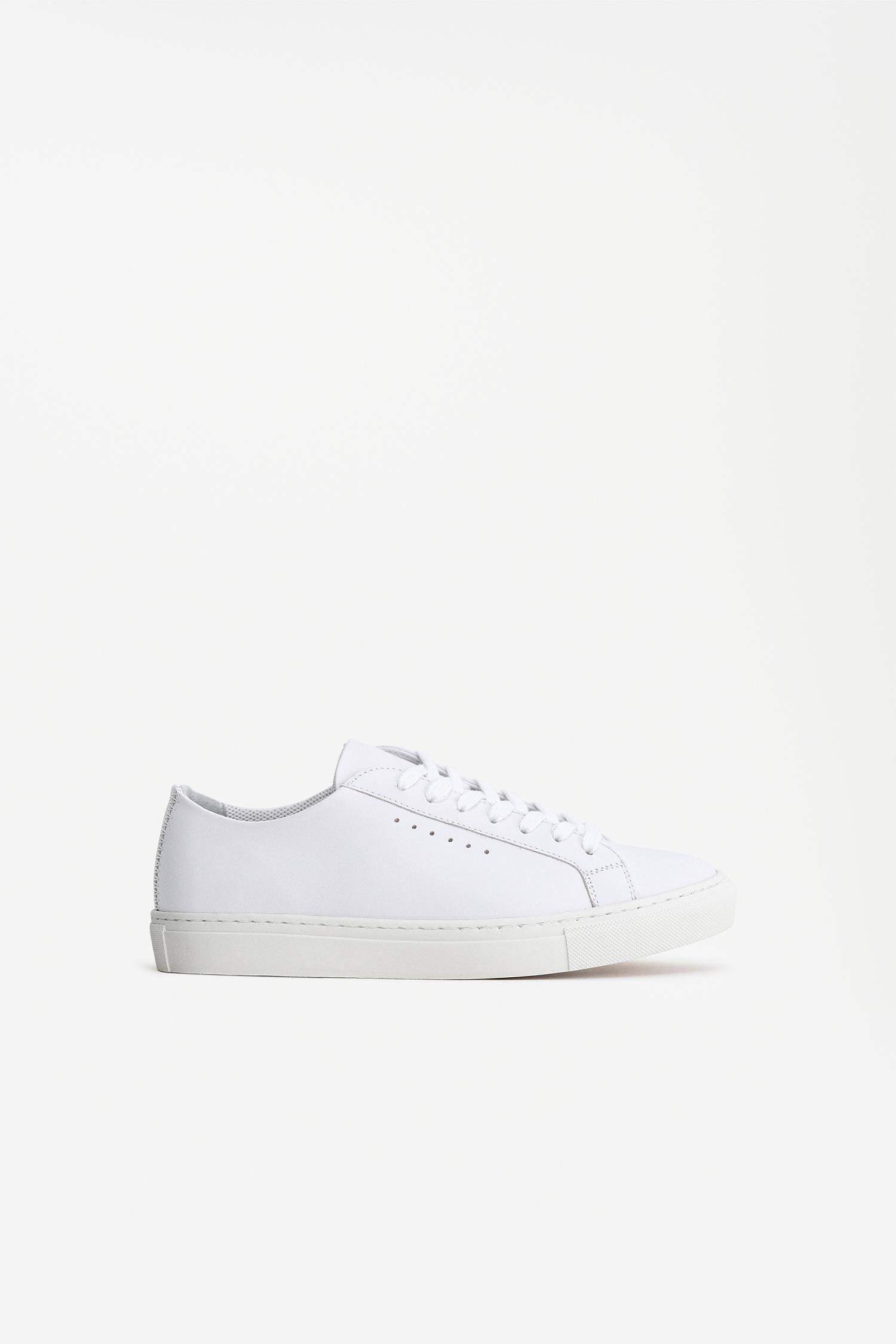 Kate Low Sneakers