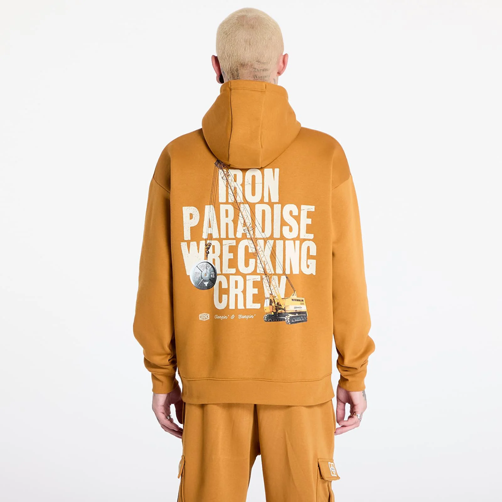 Under Armour Project Rock Icon Fleece Hoody