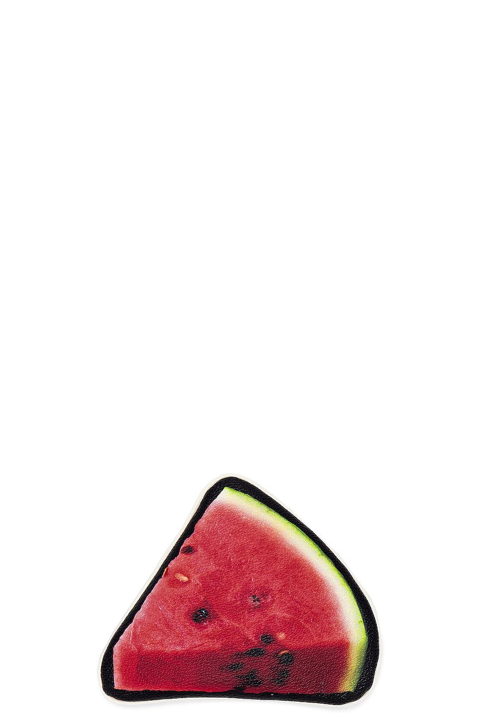 Watermelon Pouch