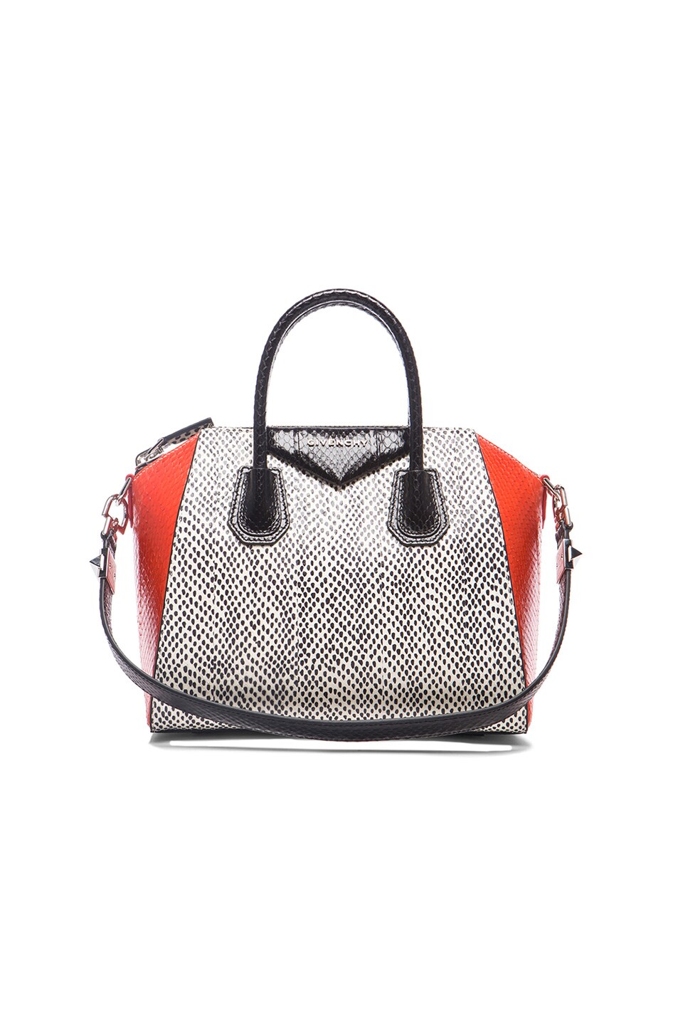 Small Colorblock Elaphe Antigona