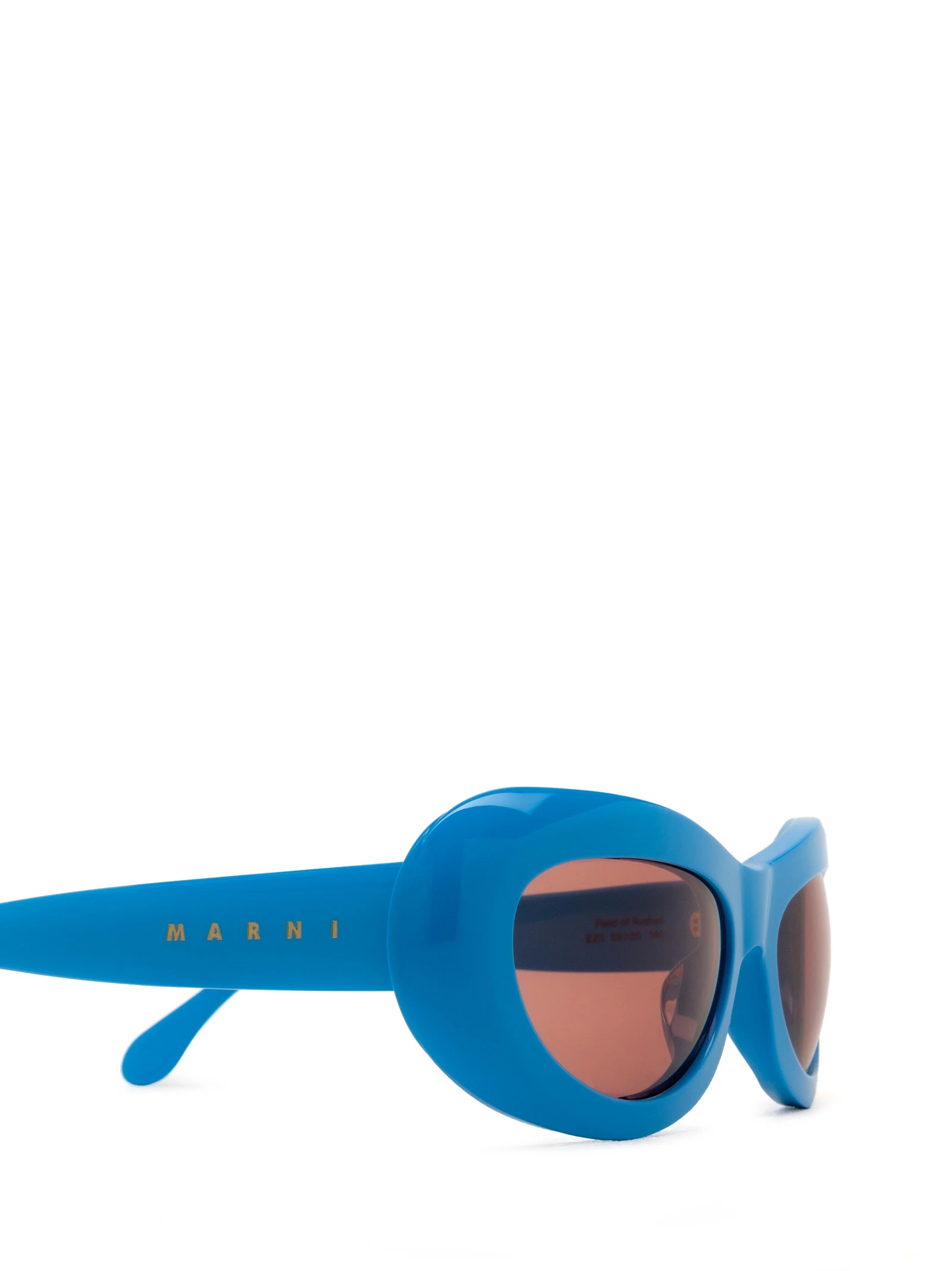 Field Of Rushes Blue Sunglasses