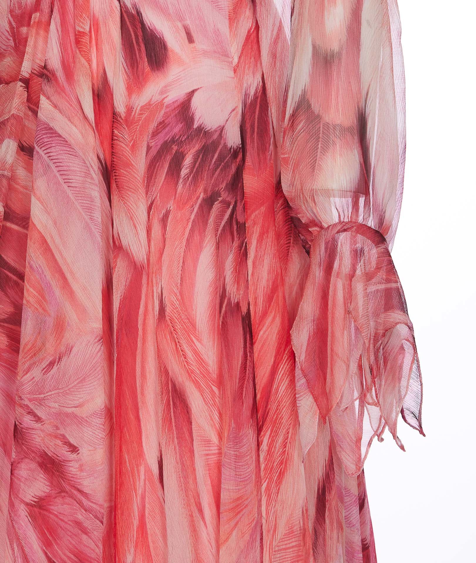 Long Plumage Print Dress