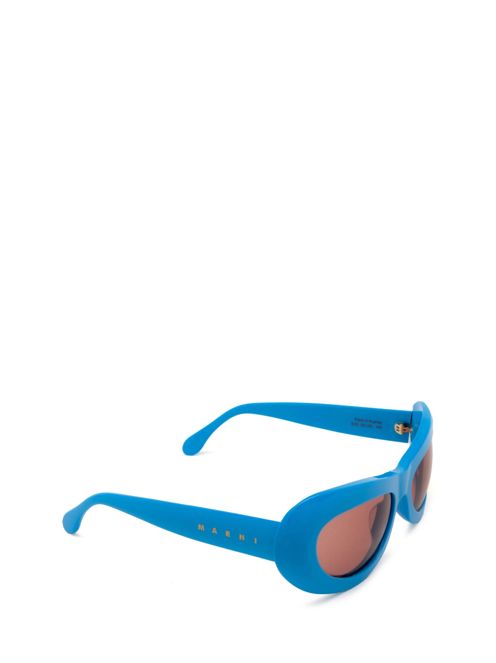 Field Of Rushes Blue Sunglasses