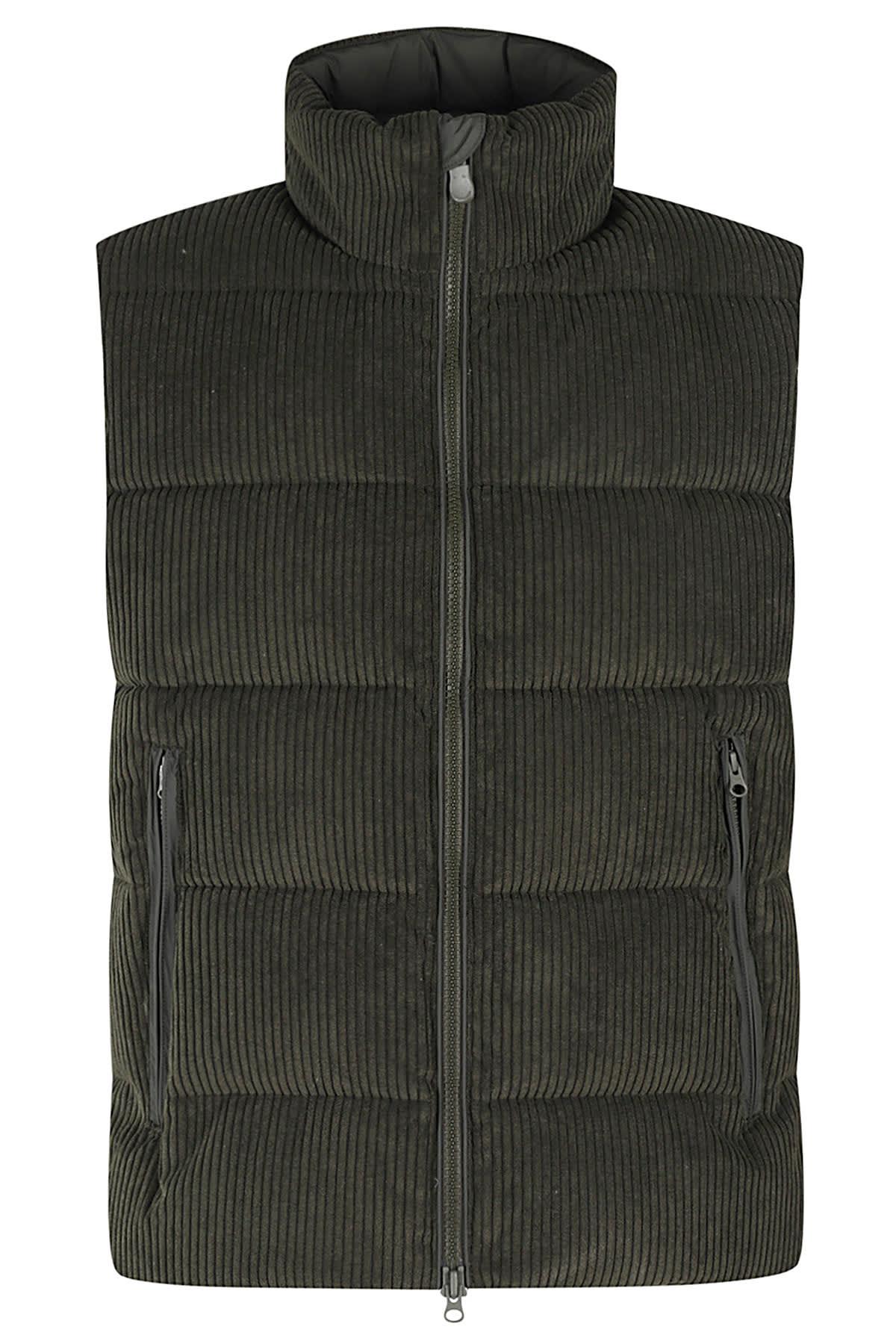 Euryops Gilet