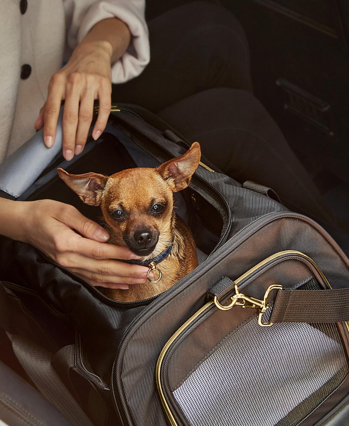 Soft Sided Multi-Entry Collapsible Travel Large Pet Carrier Duffel With Removable Lining